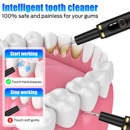 Plaque Remover for Teeth, Tartar Remover for Teeth, Dental Calculus Remover Teeth Cleaning Kit with 4 Modes and 4 Replaceable Heads